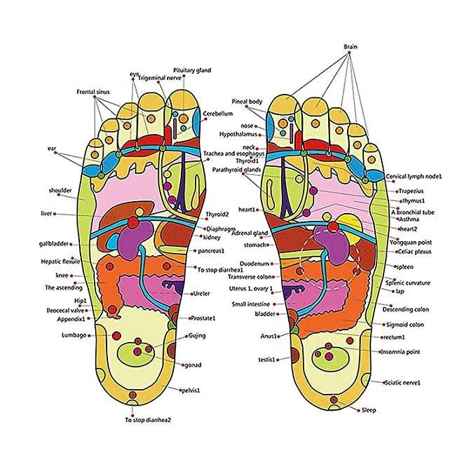 AnandaPaduka - Magnetic Therapy Natural Paduka for Full Body Blood Circulation Holistic Wellness - Men and Women